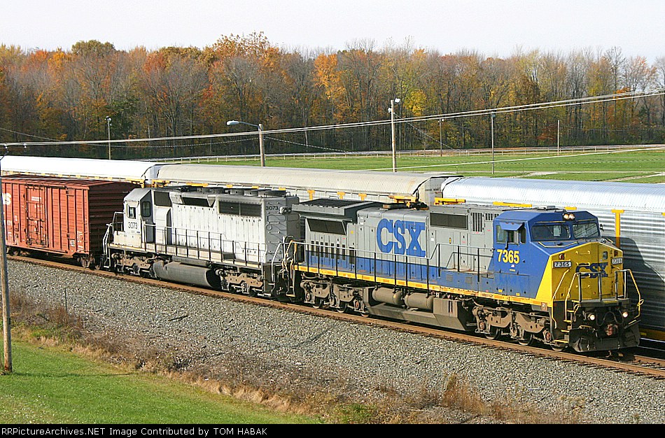 CSX 7365
